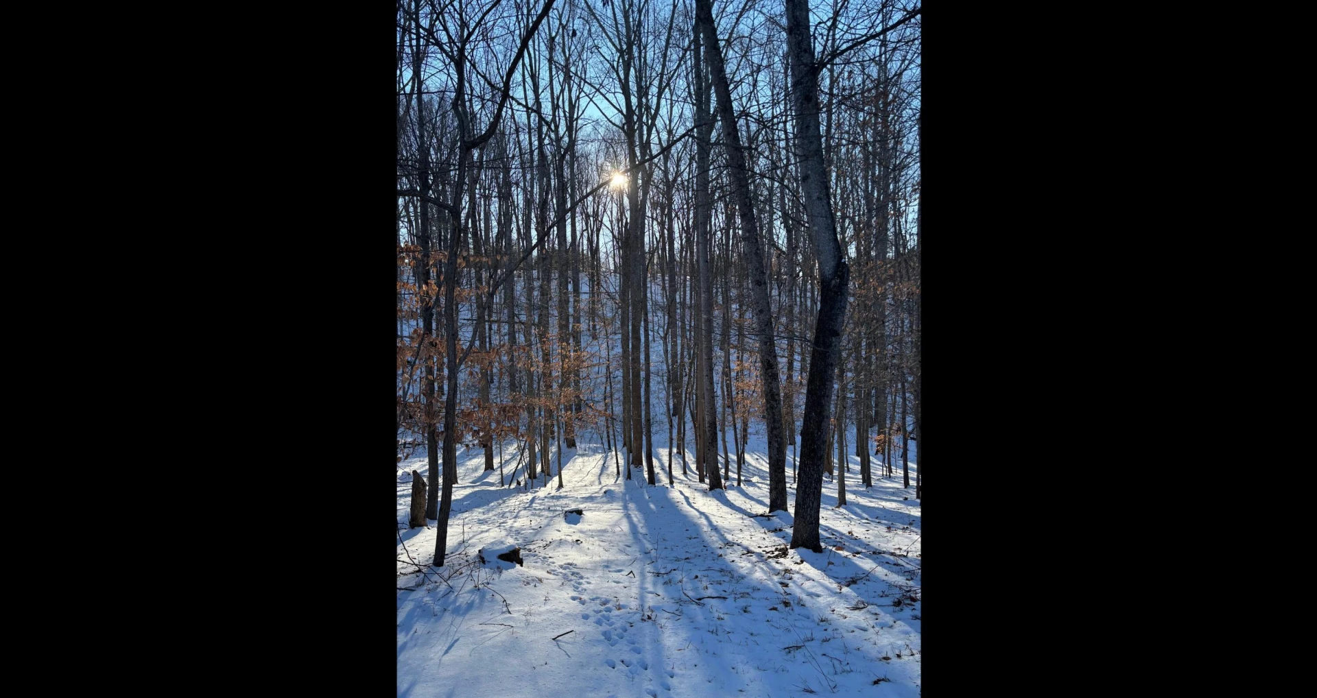 Lot 1 Lakemount DR - Photo 13