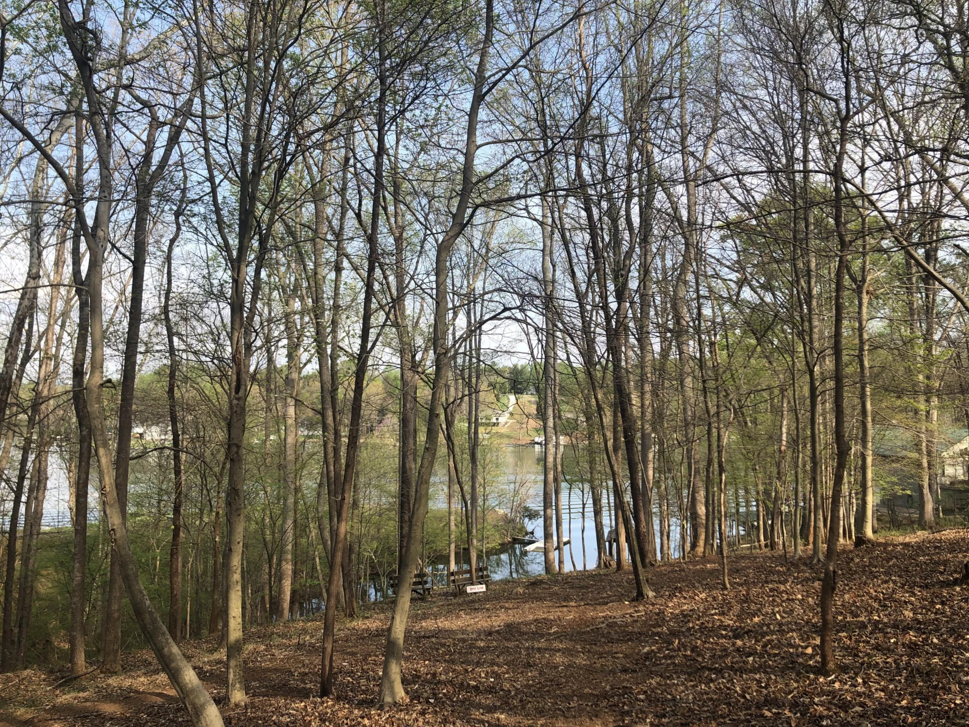 Lot 1 Lakemount DR - Photo 2