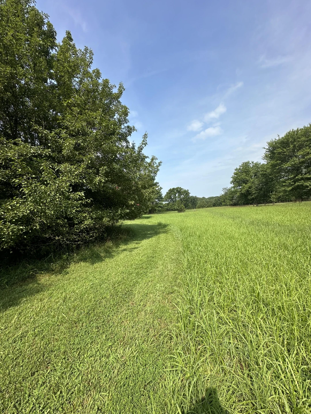 0 Morgans Mill RD
