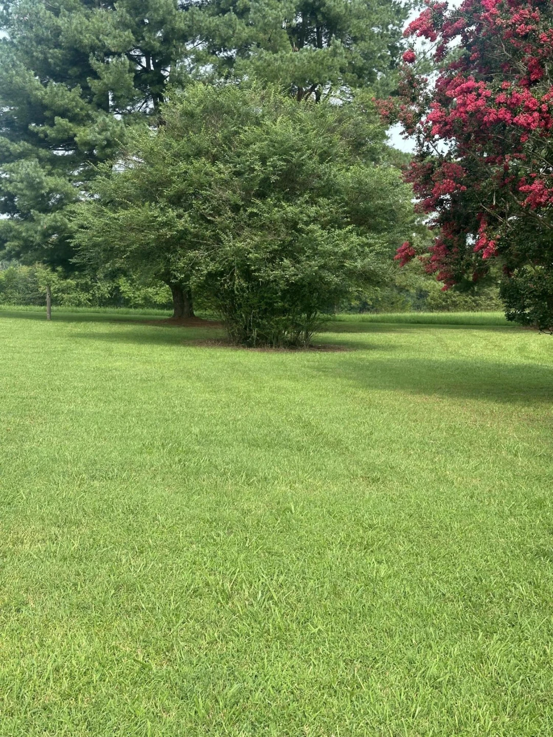 0 Morgans Mill RD - Photo 2