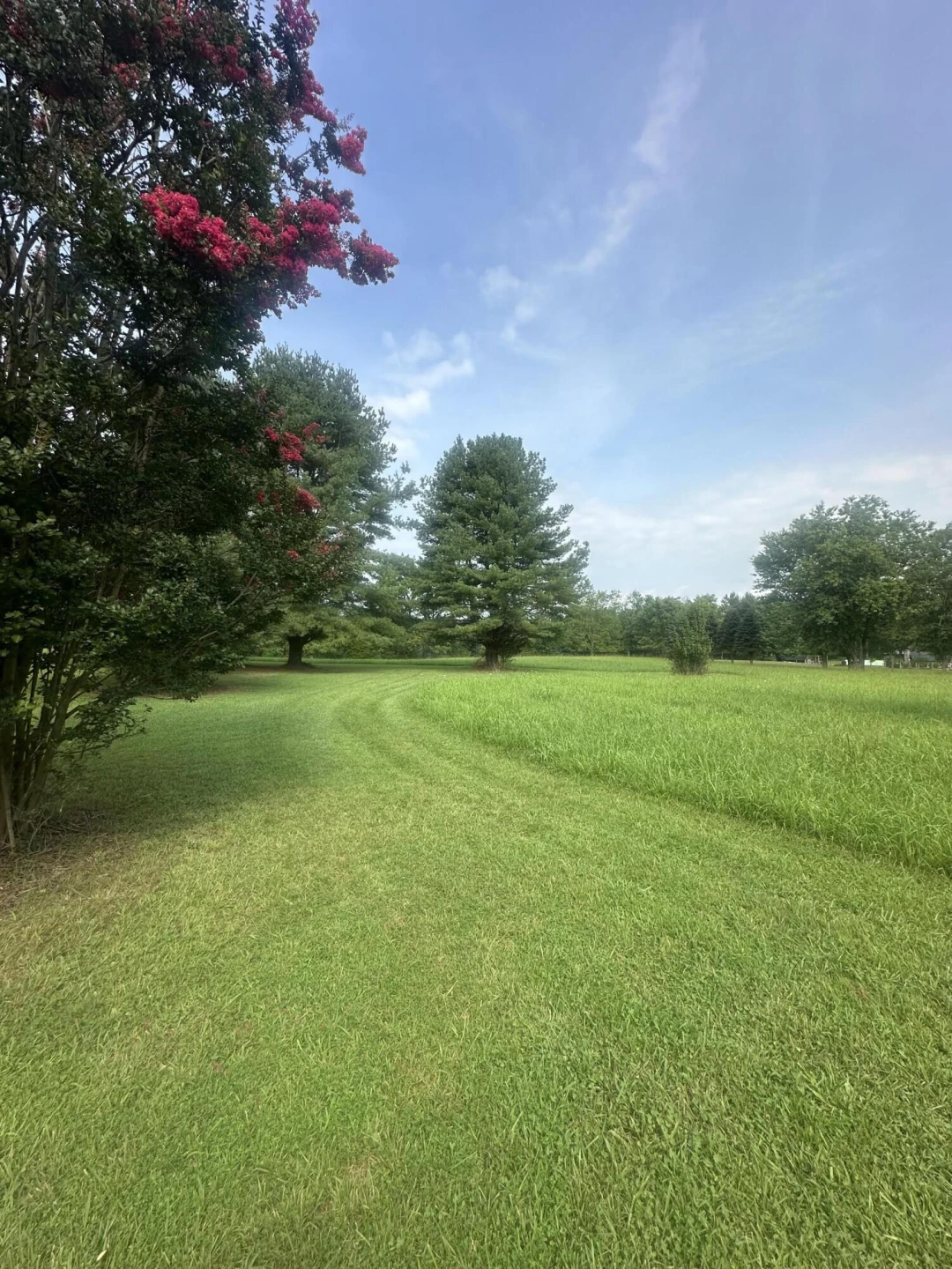 0 Morgans Mill RD - Photo 4