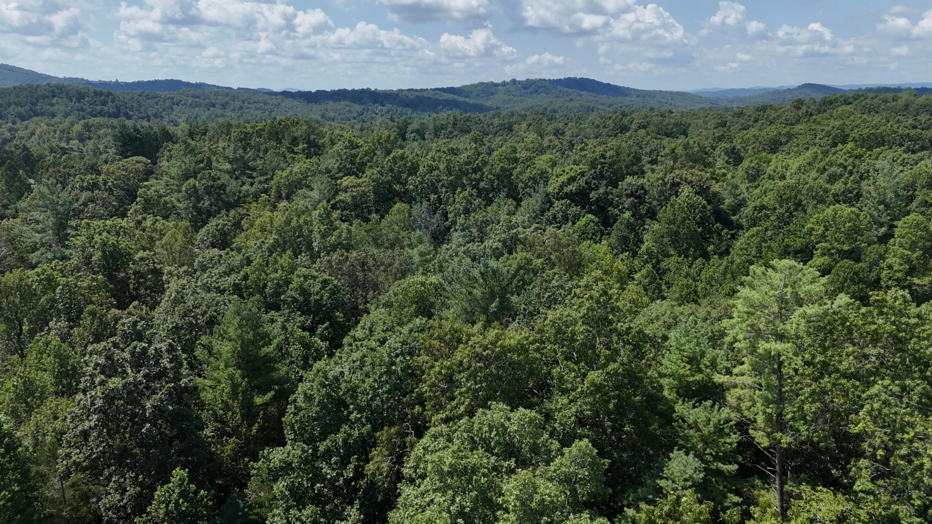 460 White Oak RD - Photo 44