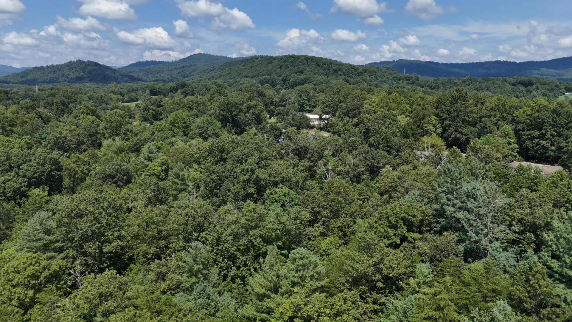 460 White Oak RD - Photo 45