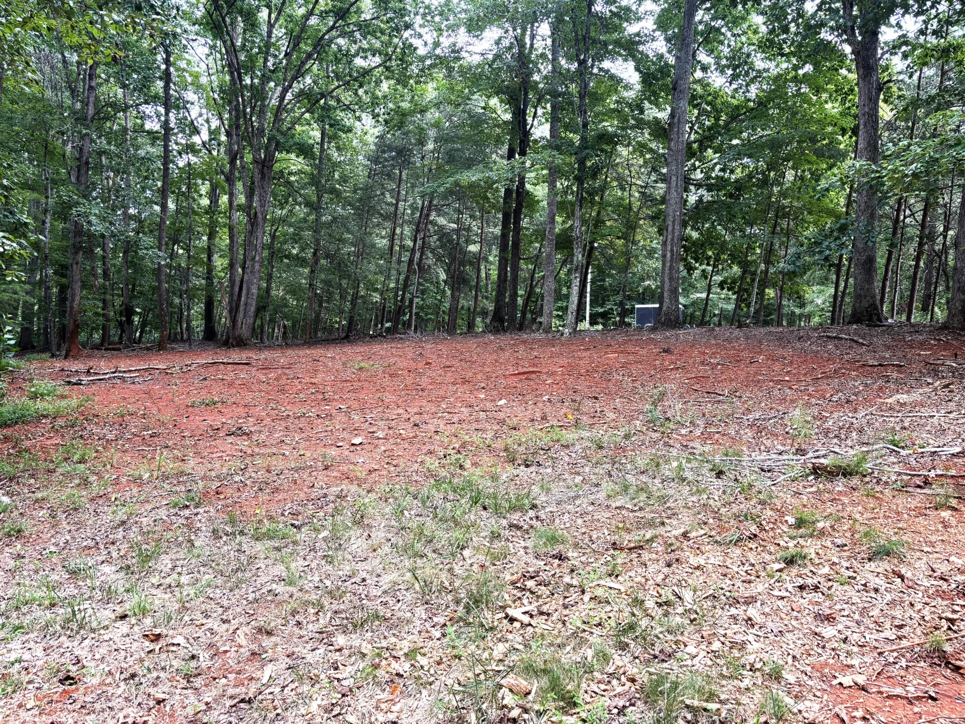 1010 Poplar Rdg DR - Photo 36
