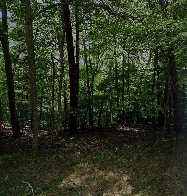 Lot 77 Land Harbor LN - Photo 2