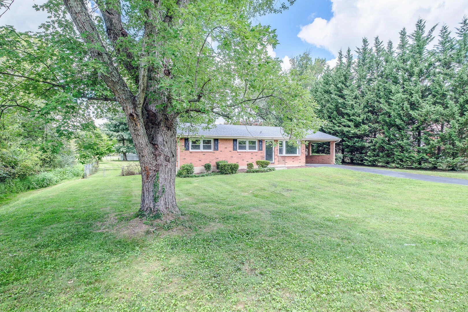 1141 Starmount AVE - Photo 5