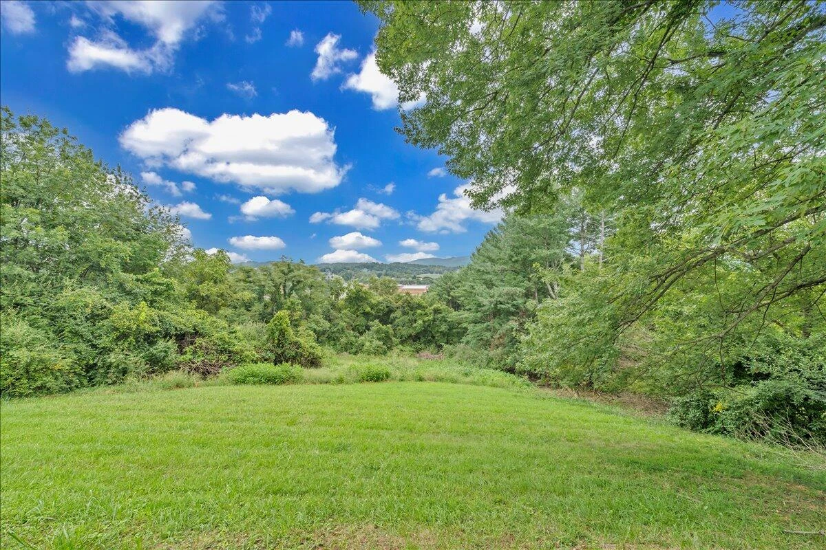 147 Daleview DR - Photo 6