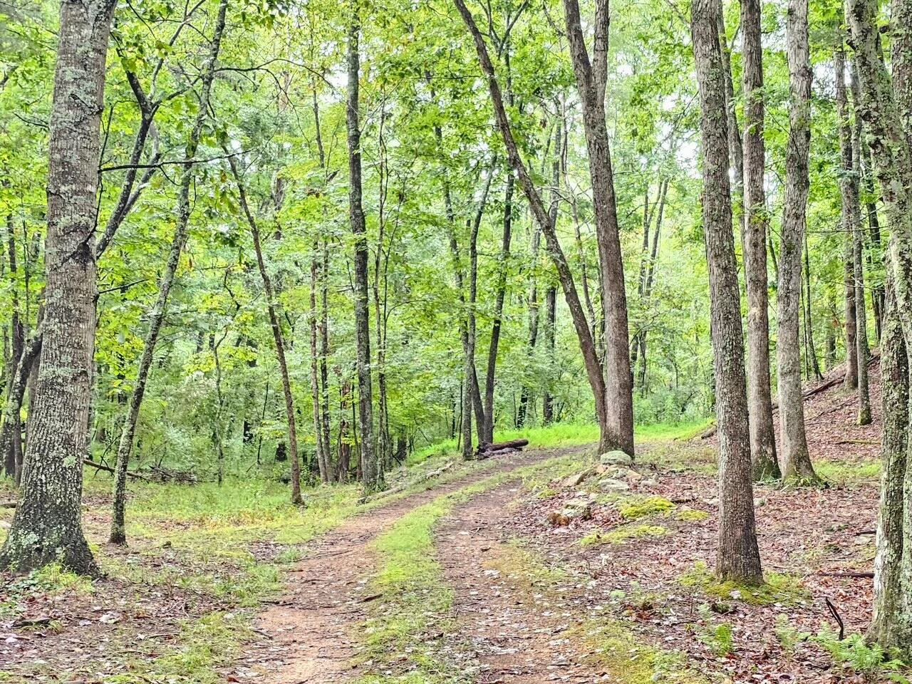 00 Johns Creek RD