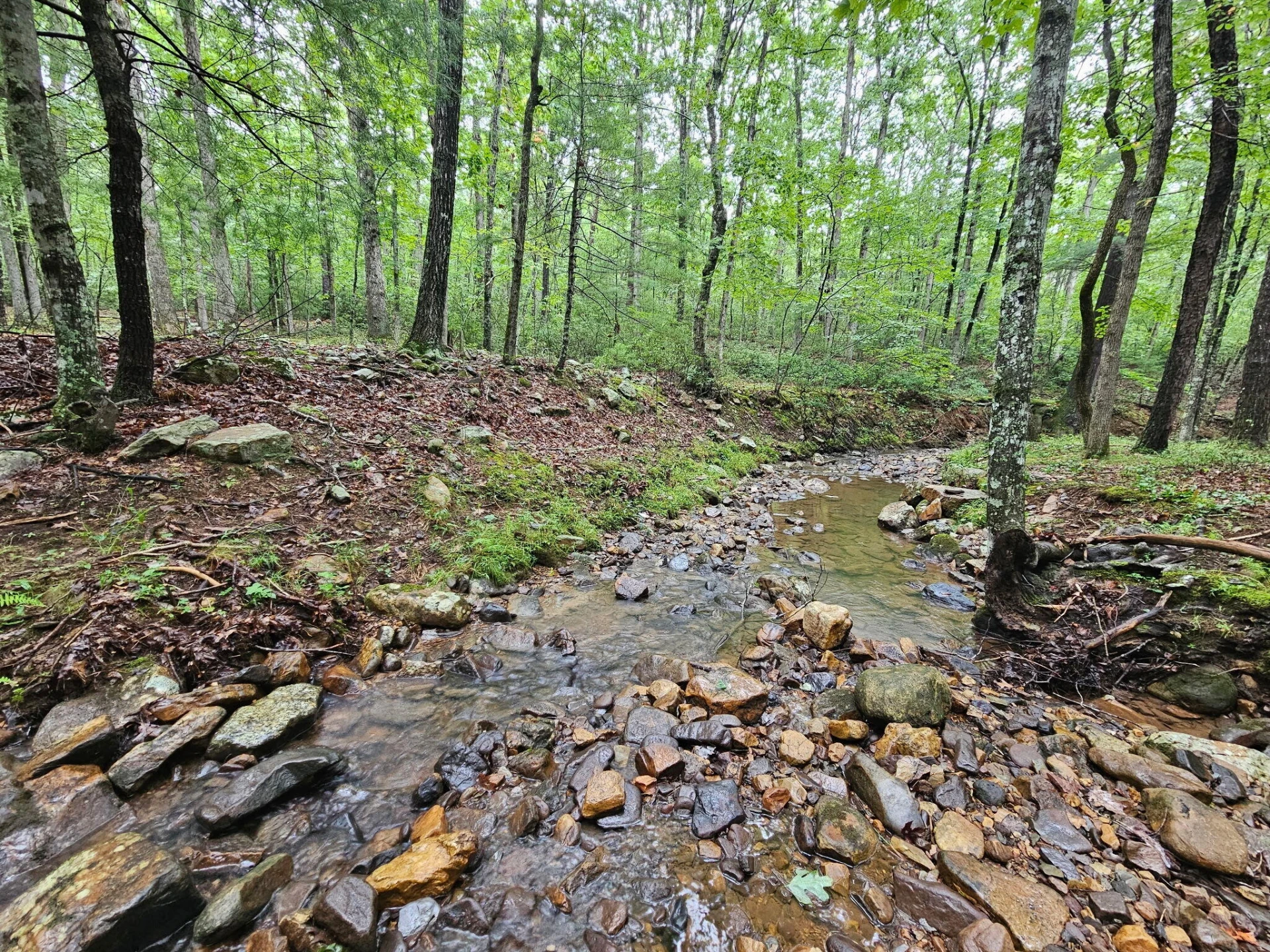 00 Johns Creek RD - Photo 2
