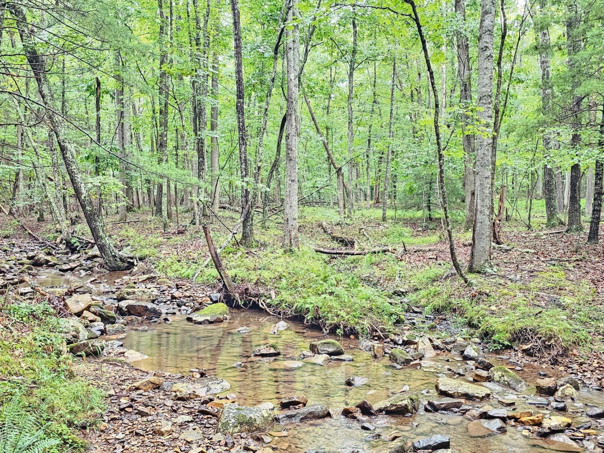 00 Johns Creek RD - Photo 3
