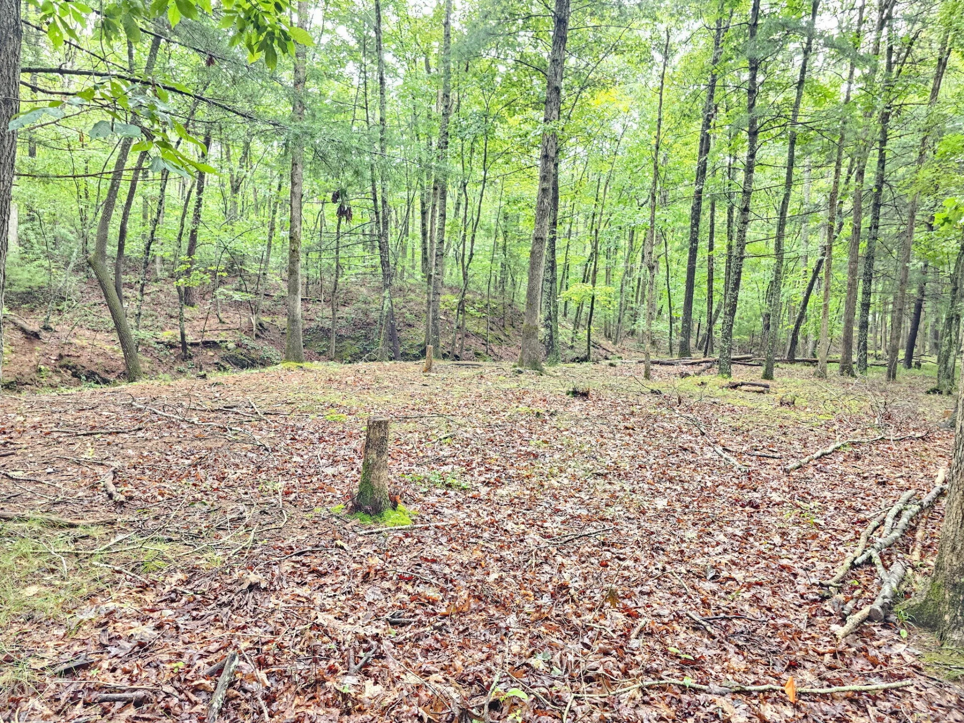 00 Johns Creek RD - Photo 4