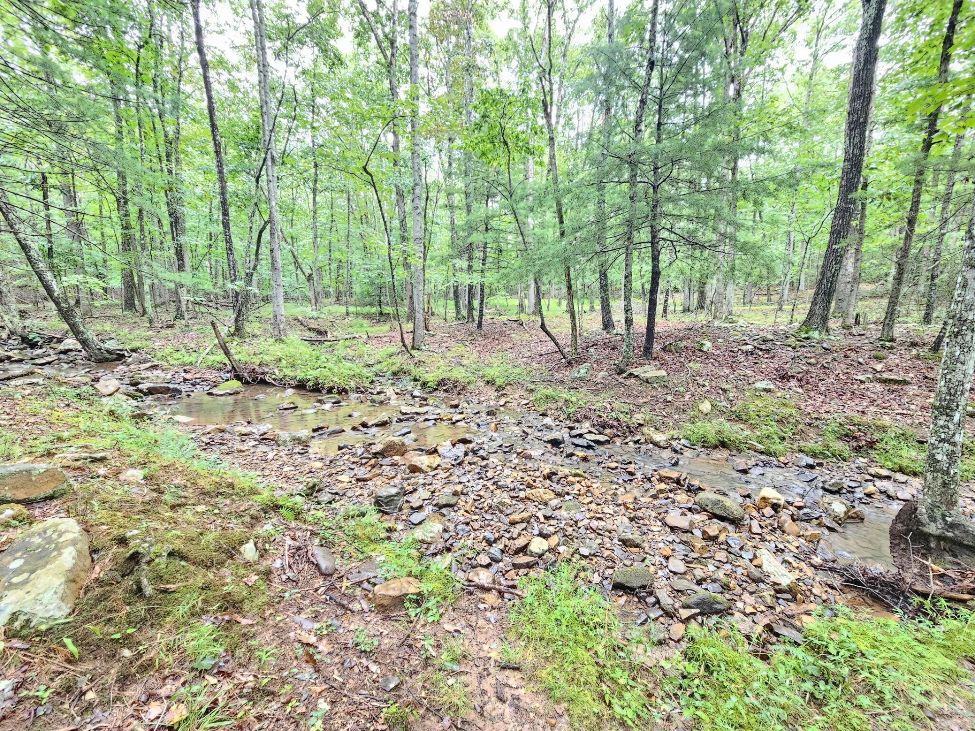 00 Johns Creek RD - Photo 5