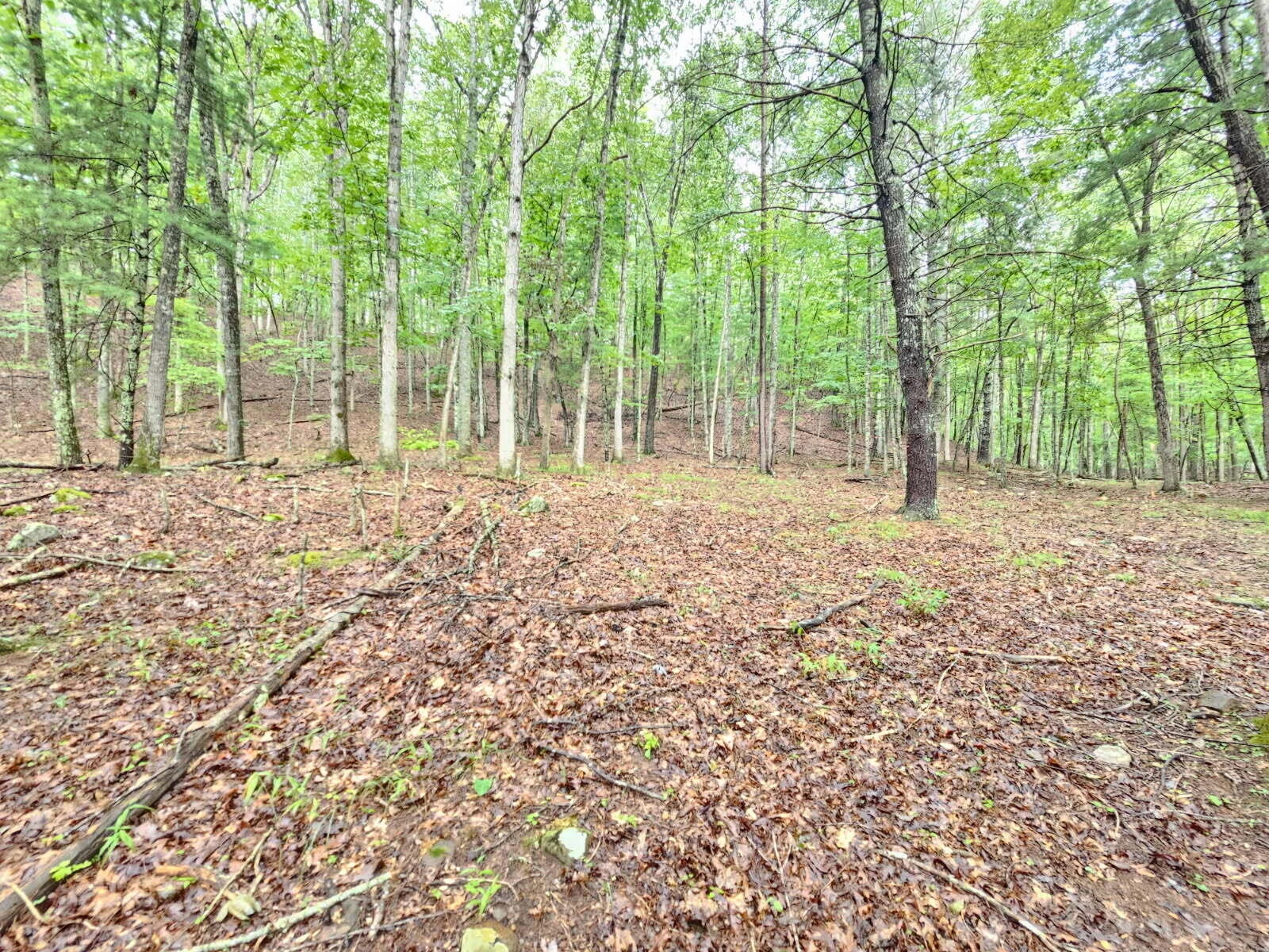 00 Johns Creek RD - Photo 6