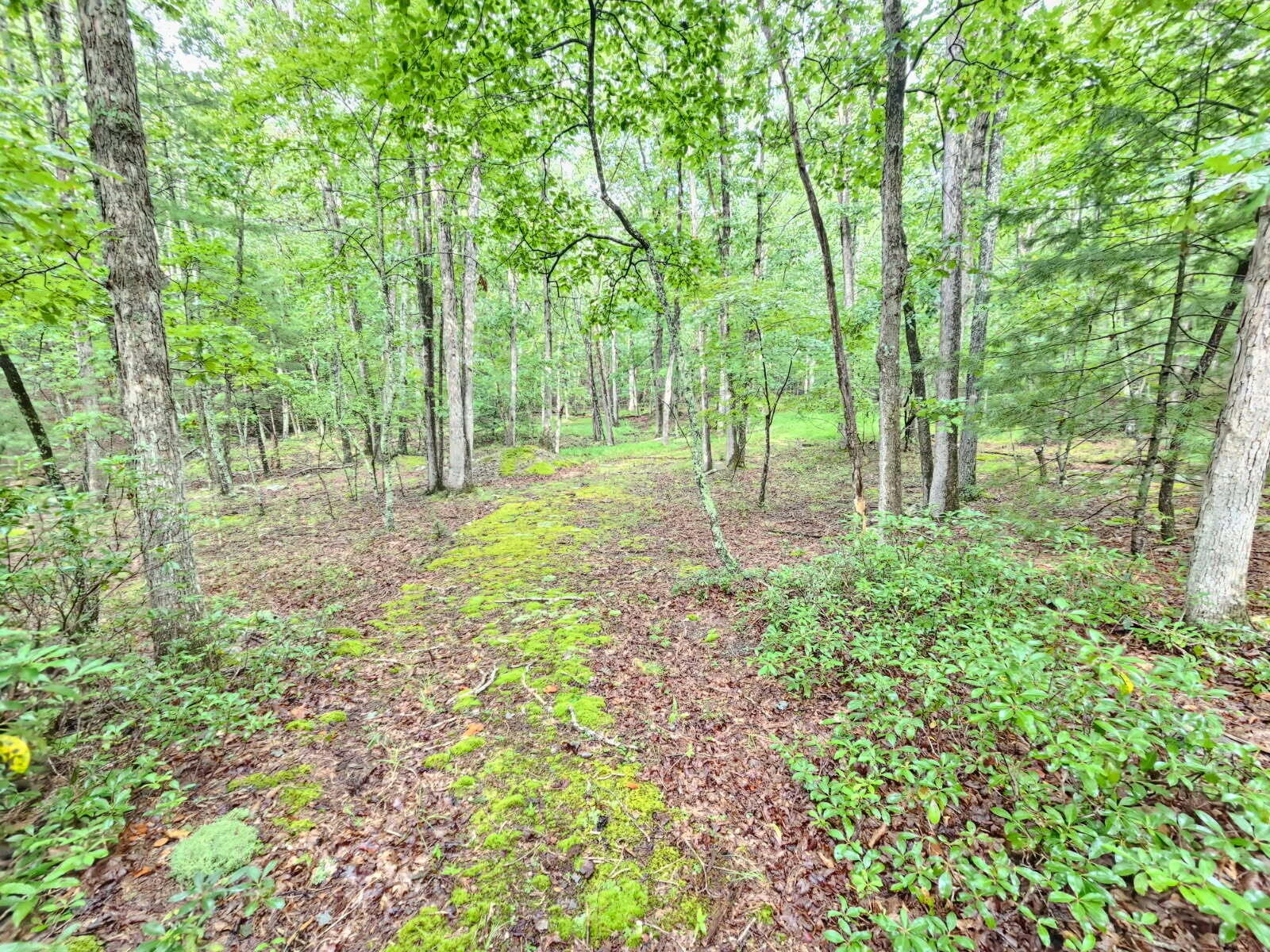 00 Johns Creek RD - Photo 7