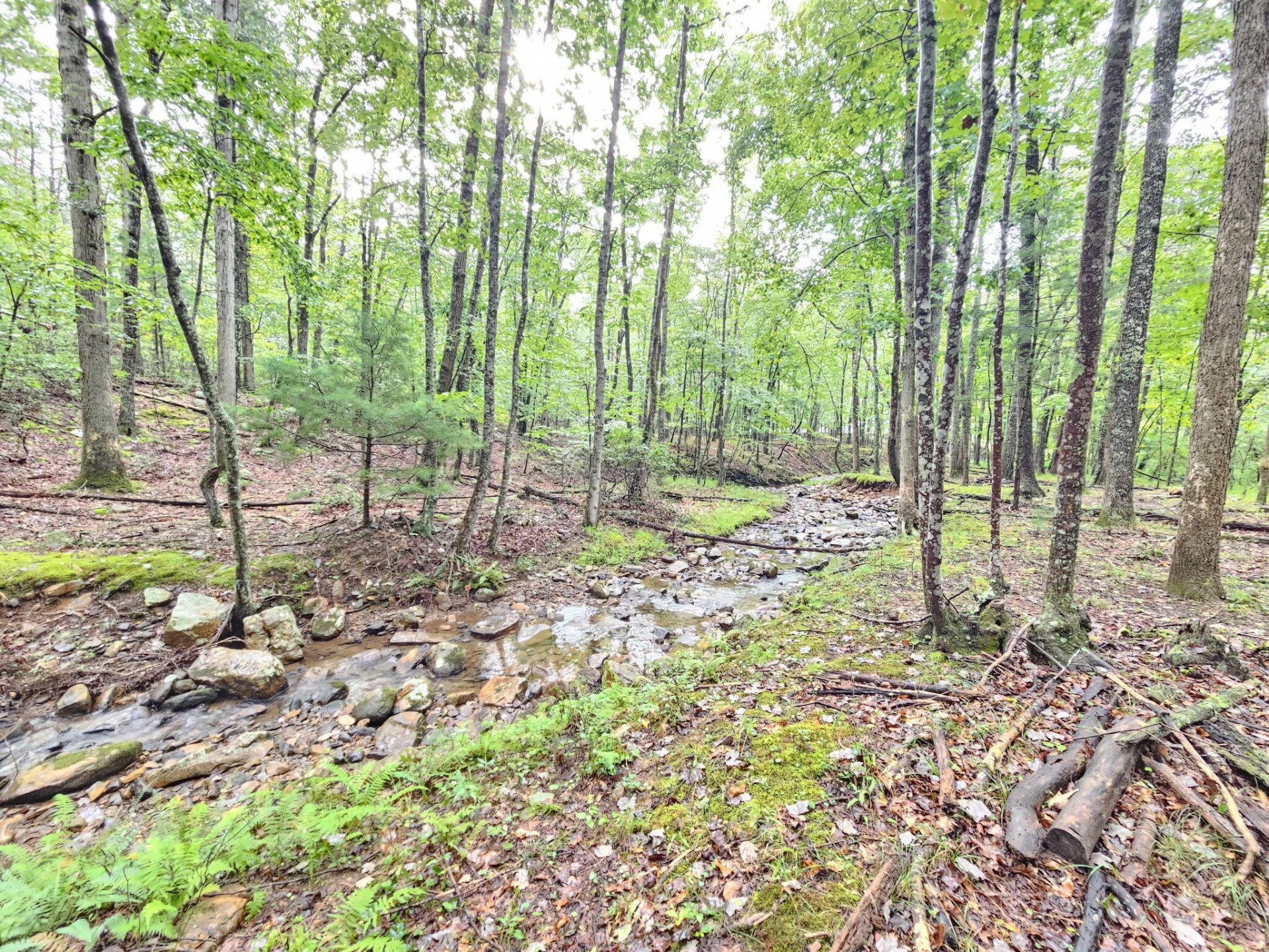 00 Johns Creek RD - Photo 9