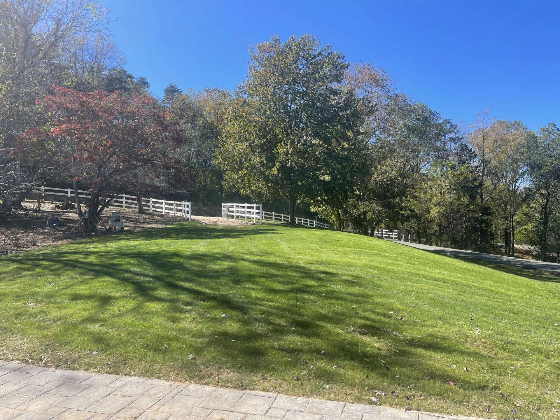 1031 Lake Breeze DR - Photo 4