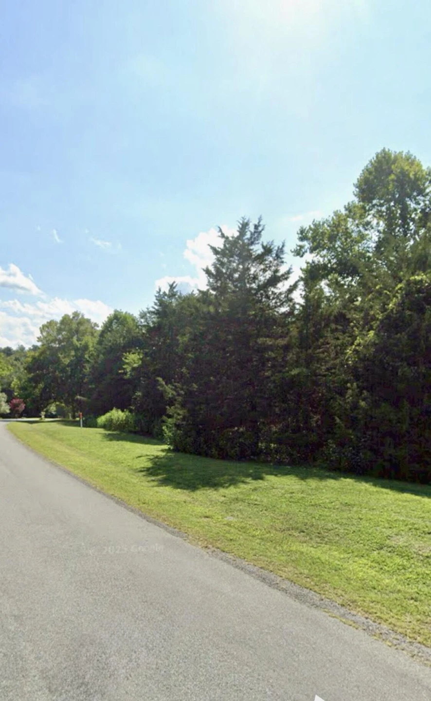 Lot 18 Walnut Run - Photo 2