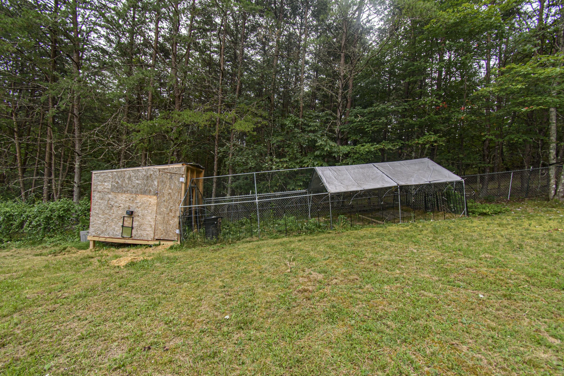 2801 Flatwoods RD - Photo 40