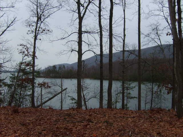 Lot 20 Waterside Channel DR - Photo 2