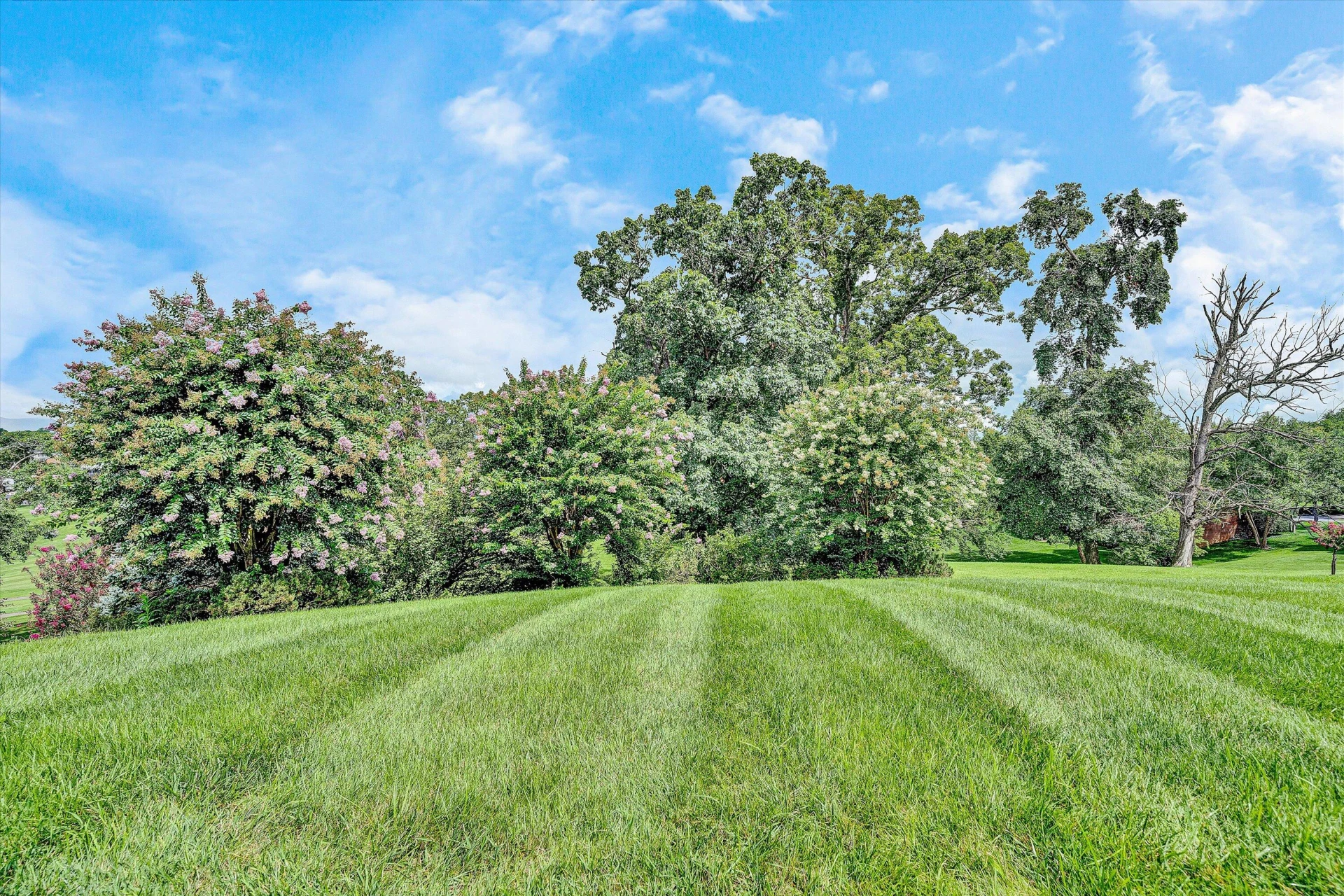 561 Ashley WAY - Photo 68