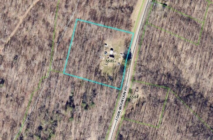 6685 FORK MOUNTAIN RD - Photo 3
