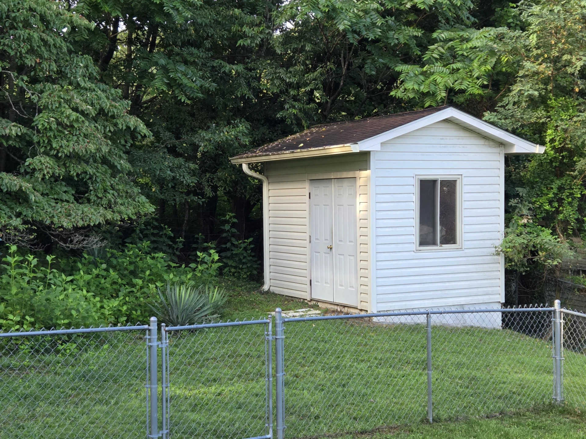 1427 LORI DR - Photo 6