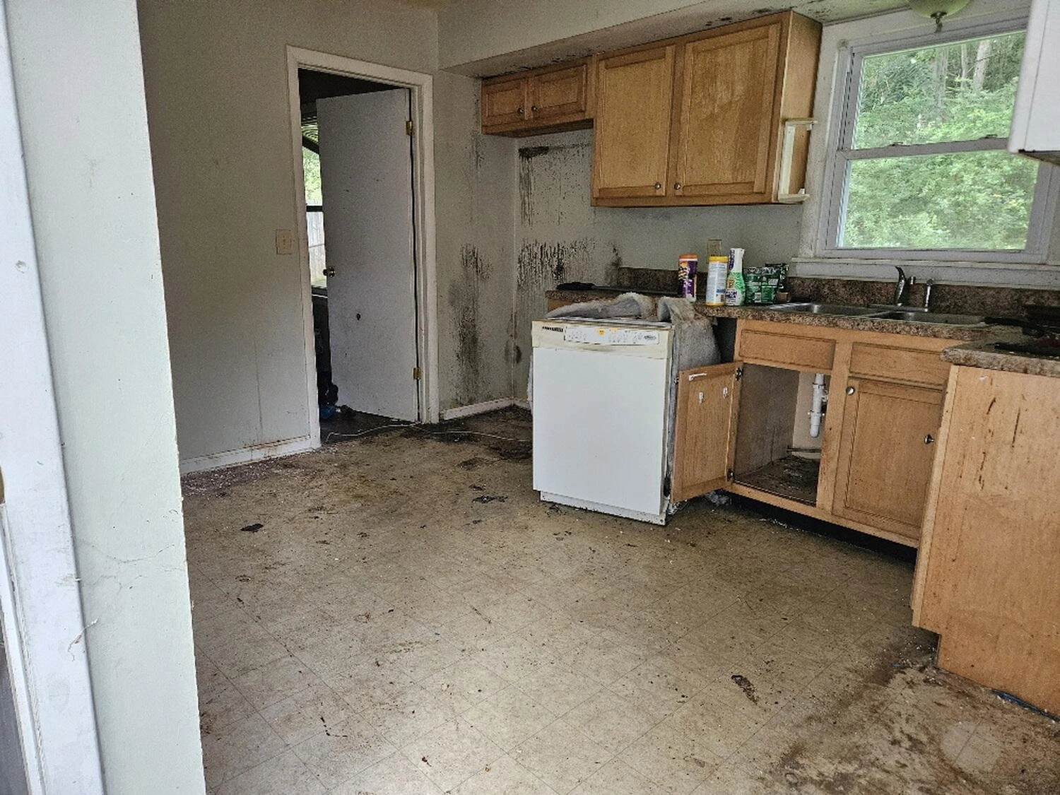 3432 Manassas DR - Photo 6