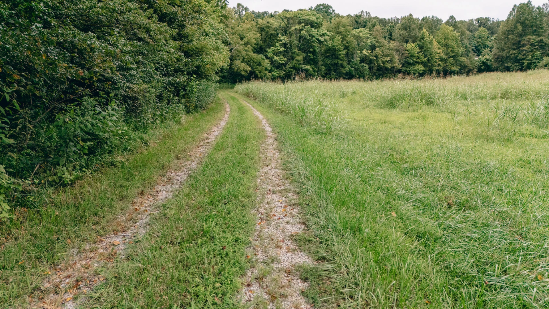 27225 Virgil H Goode Hwy - Photo 12