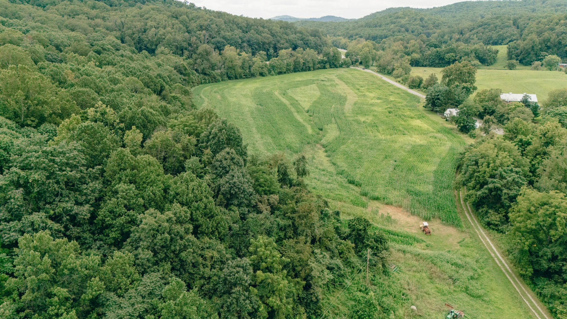 27225 Virgil H Goode Hwy - Photo 16