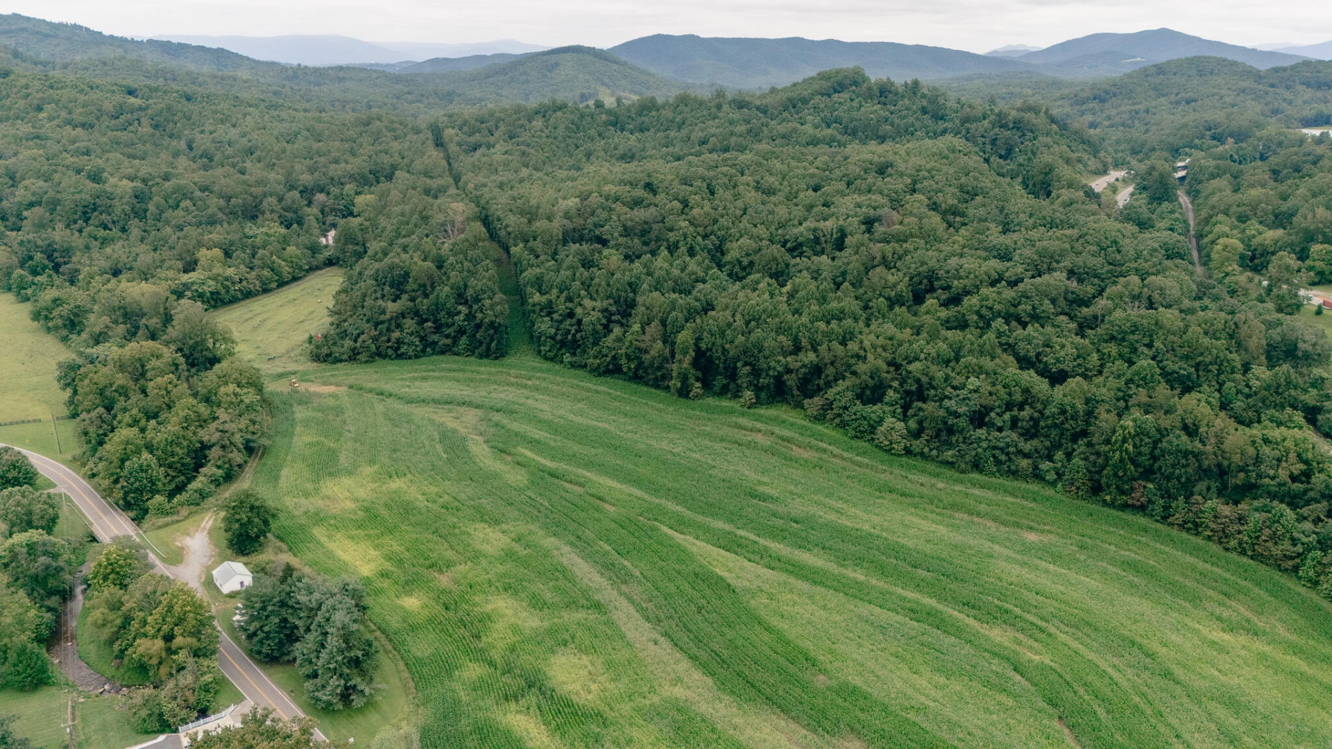 27225 Virgil H Goode Hwy - Photo 8