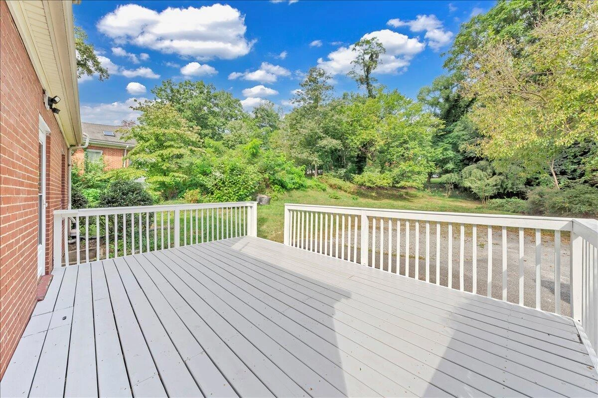 2523 Brambleton AVE SW - Photo 52