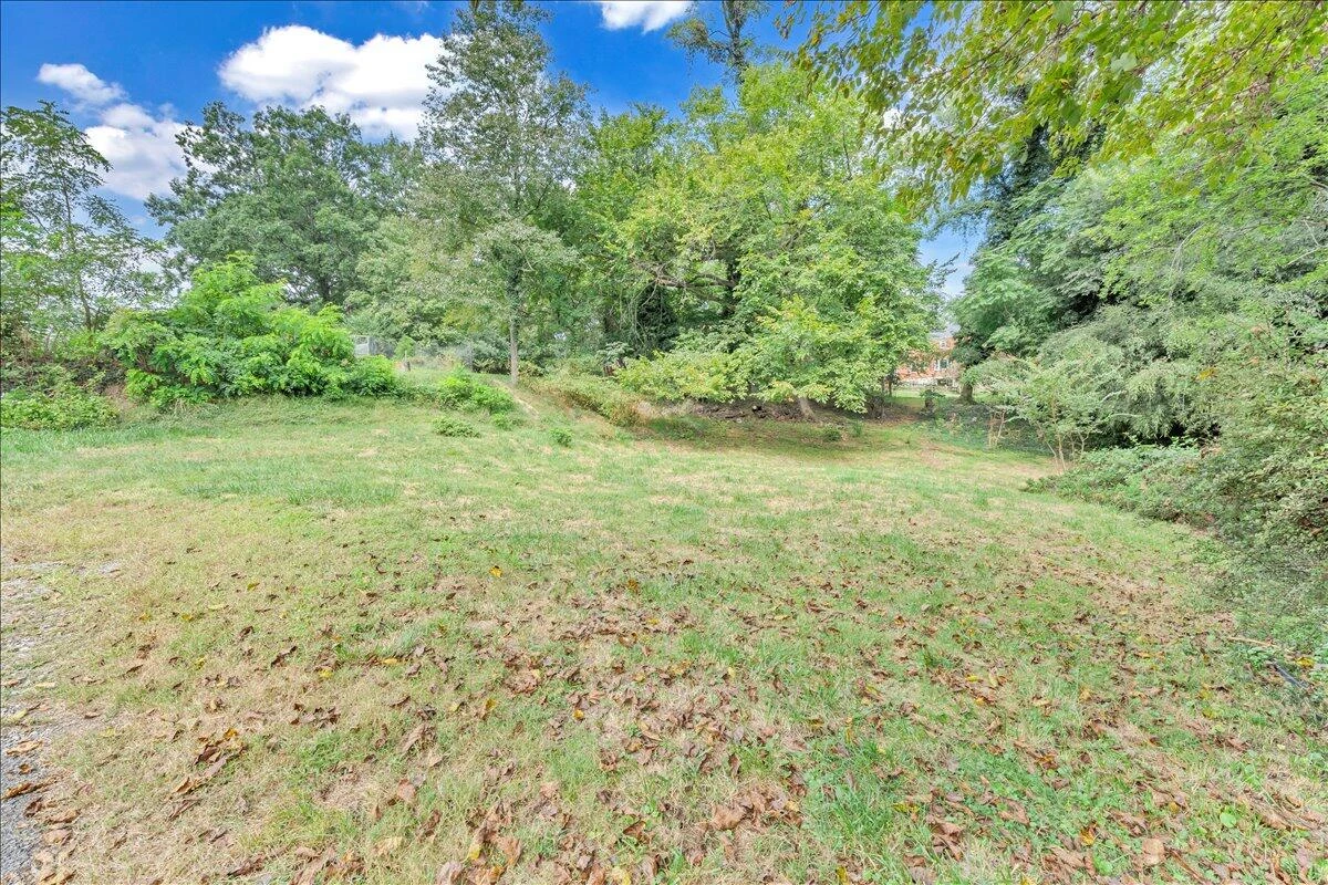 2523 Brambleton AVE SW - Photo 54