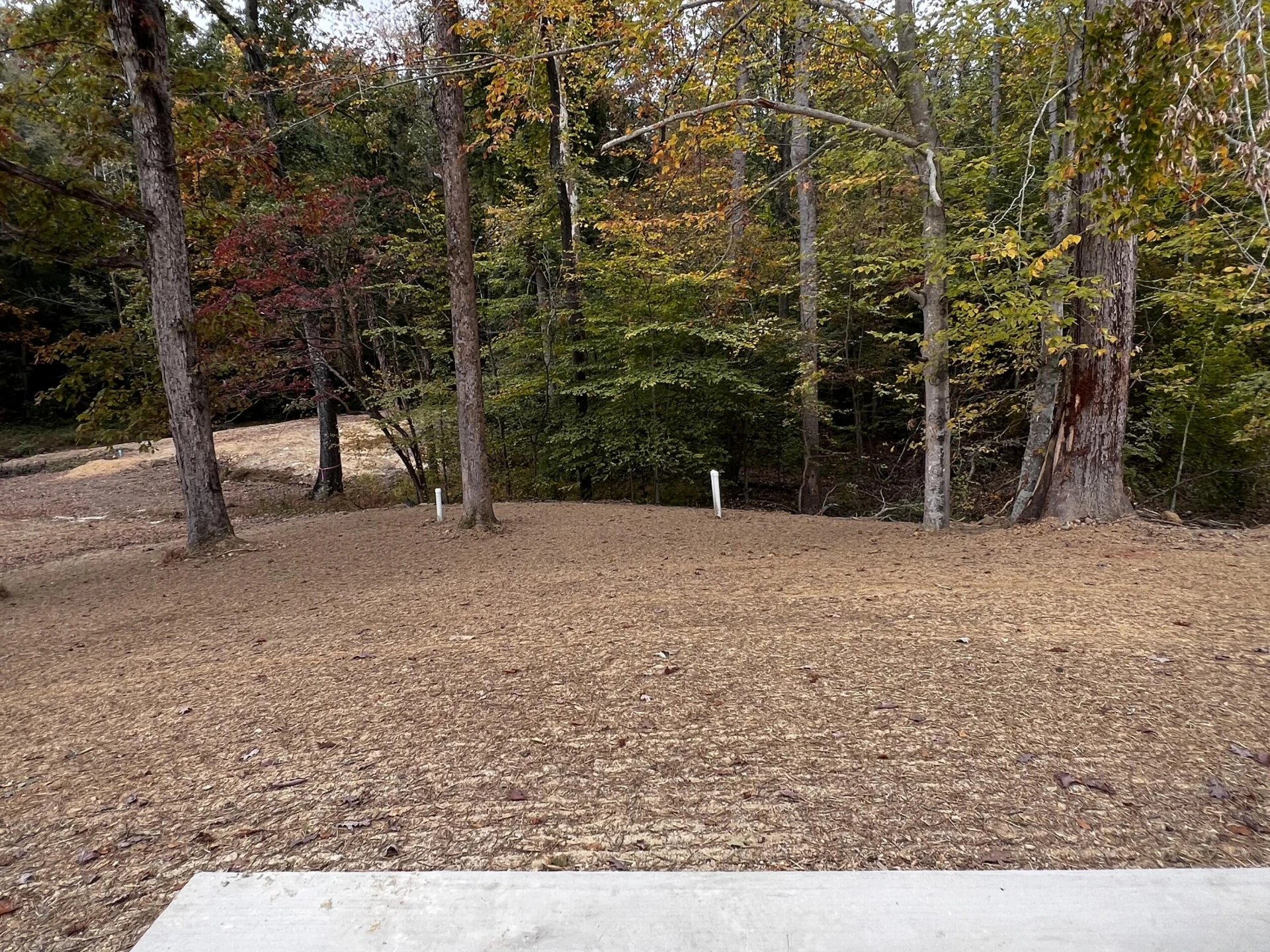 95 Vandola RD - Photo 30