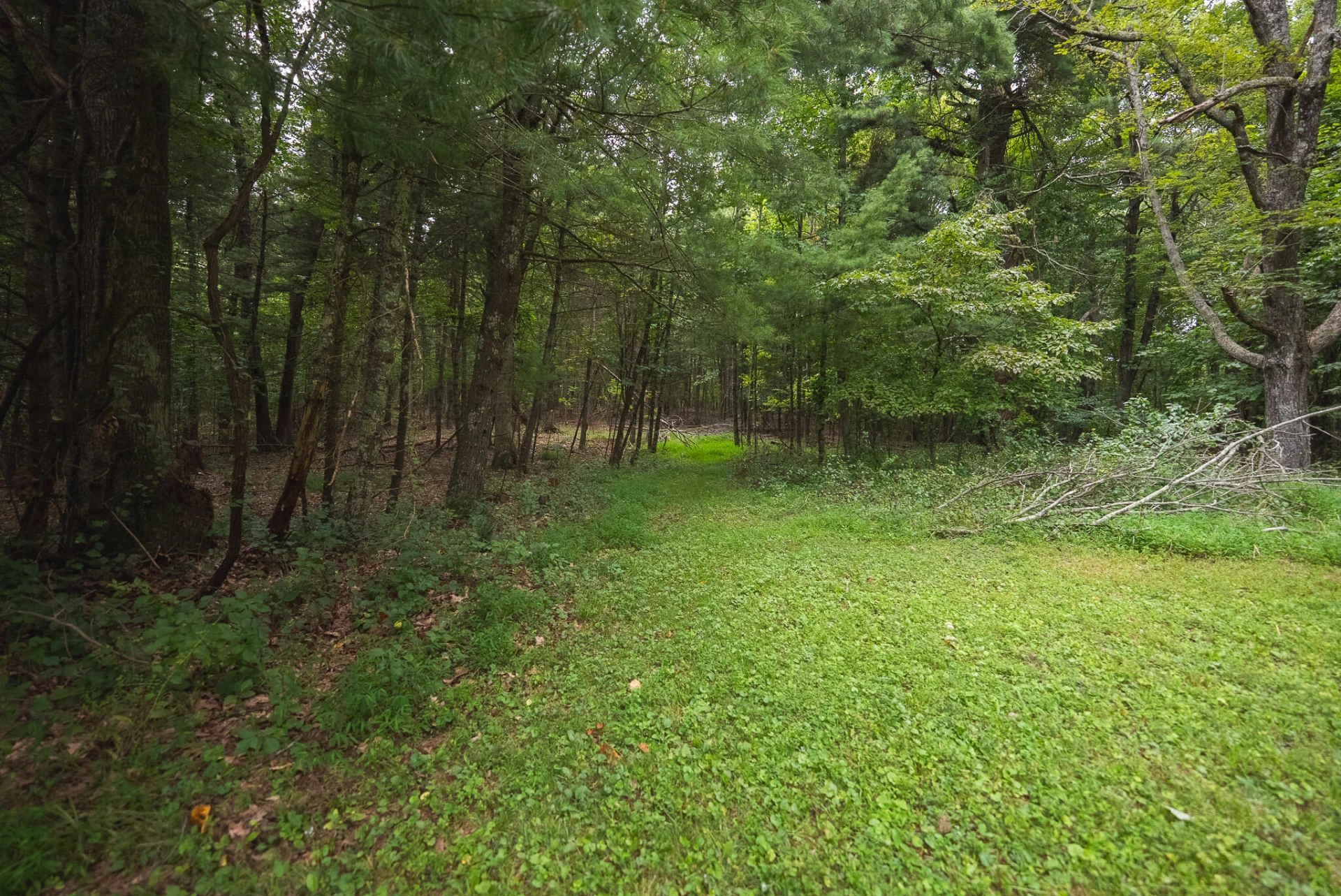 788 Jacks Mill RD SE - Photo 54