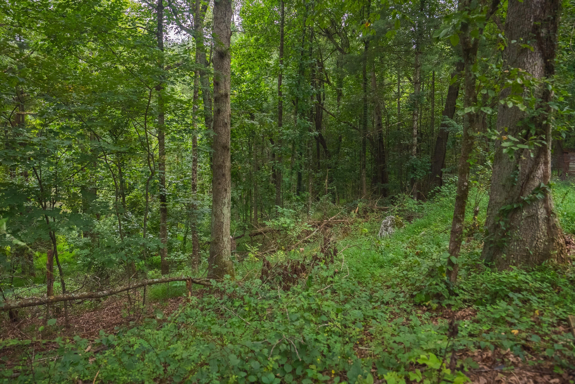 788 Jacks Mill RD SE - Photo 60