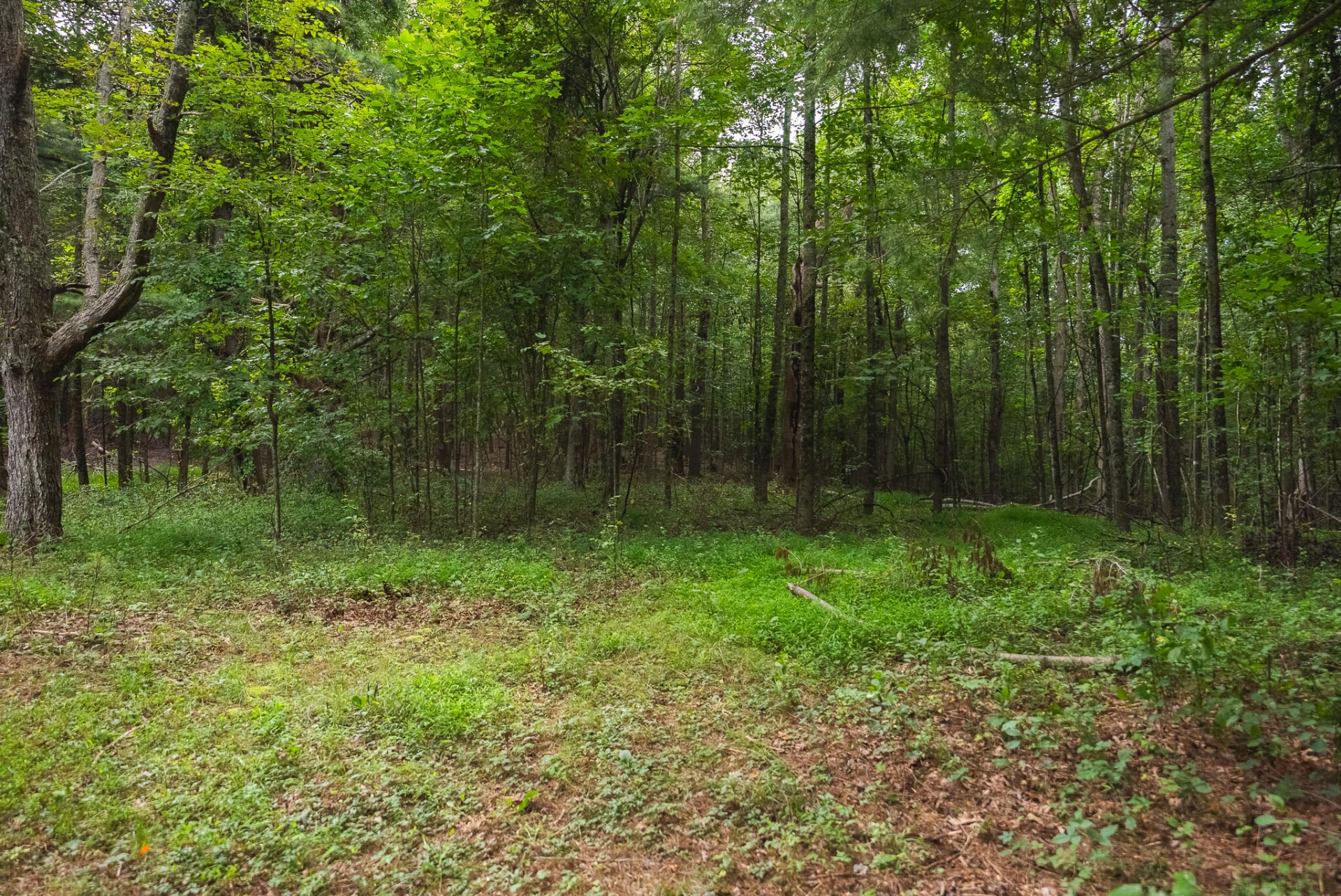 788 Jacks Mill RD SE - Photo 63