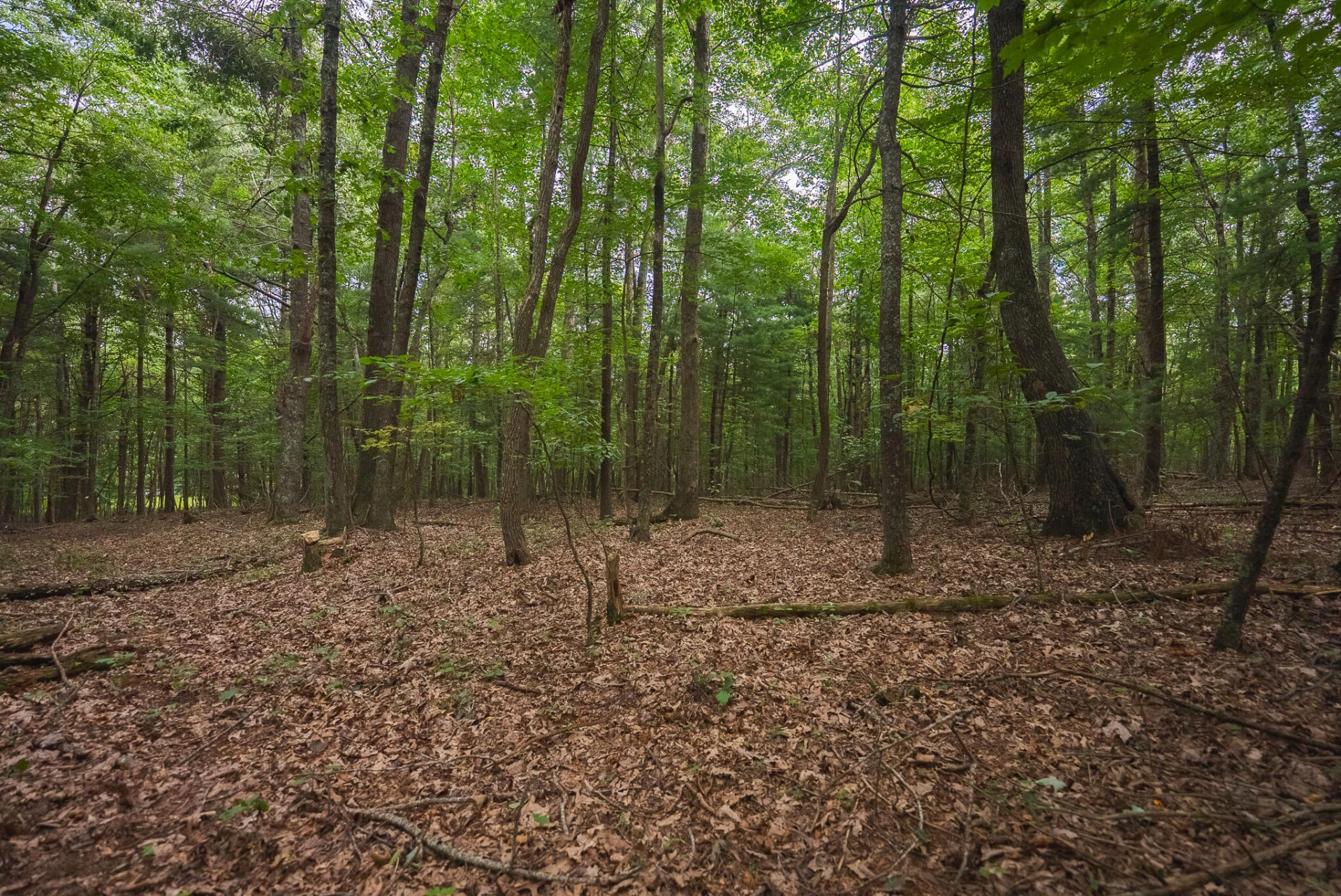 788 Jacks Mill RD SE - Photo 66