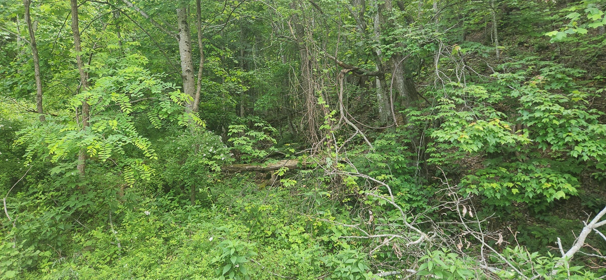 0 Ravens Ridge RD - Photo 12