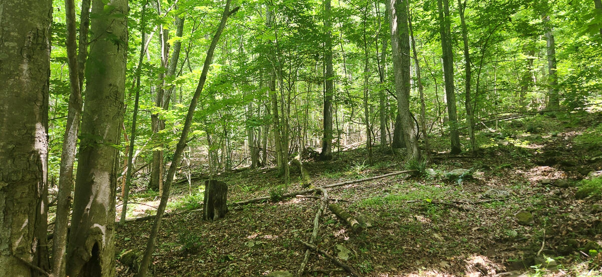 0 Ravens Ridge RD - Photo 13