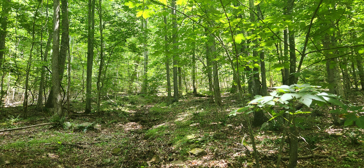 0 Ravens Ridge RD - Photo 14