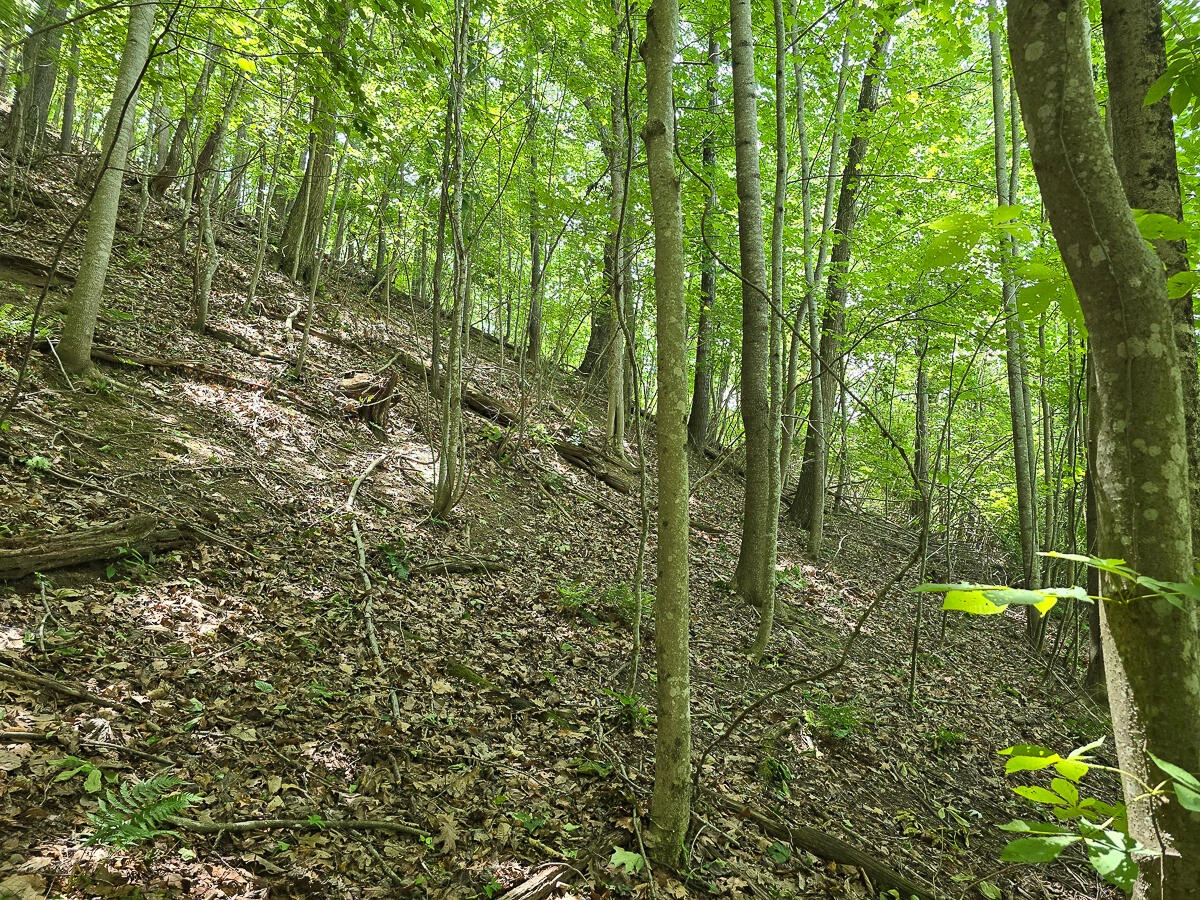 0 Ravens Ridge RD - Photo 15