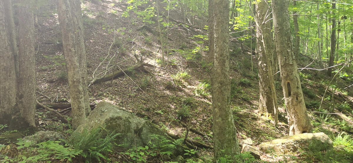 0 Ravens Ridge RD - Photo 16