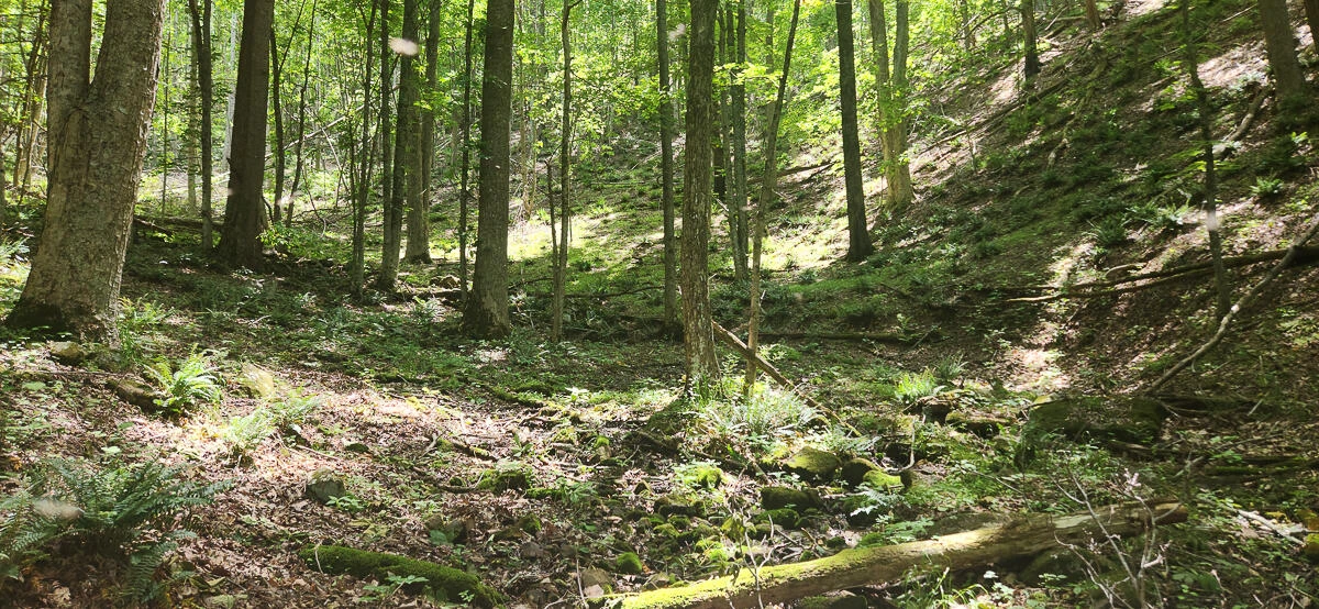 0 Ravens Ridge RD - Photo 17