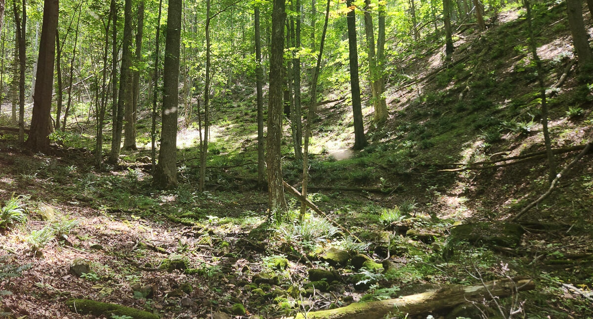 0 Ravens Ridge RD - Photo 18