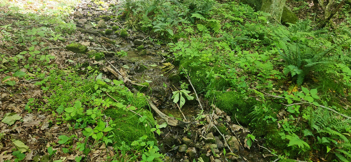 0 Ravens Ridge RD - Photo 19