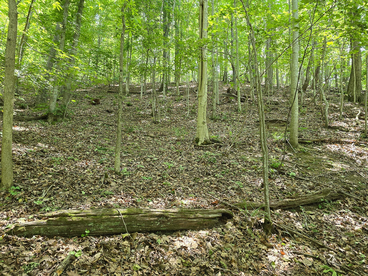 0 Ravens Ridge RD - Photo 2
