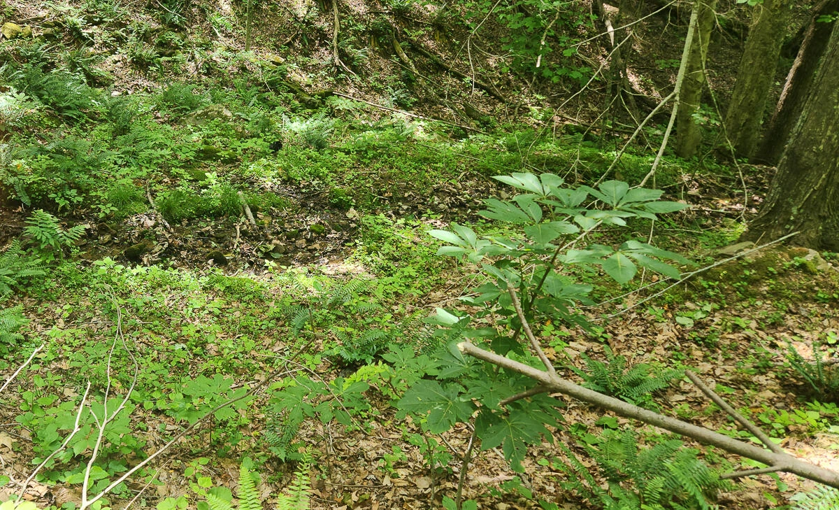 0 Ravens Ridge RD - Photo 24