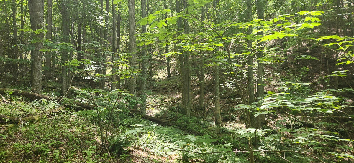 0 Ravens Ridge RD - Photo 25