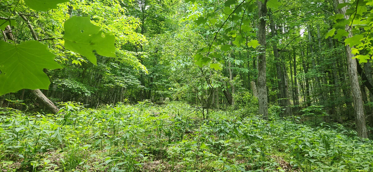 0 Ravens Ridge RD - Photo 26