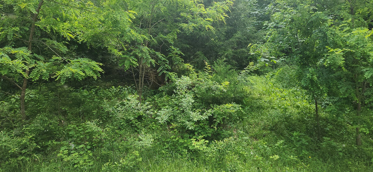 0 Ravens Ridge RD - Photo 28